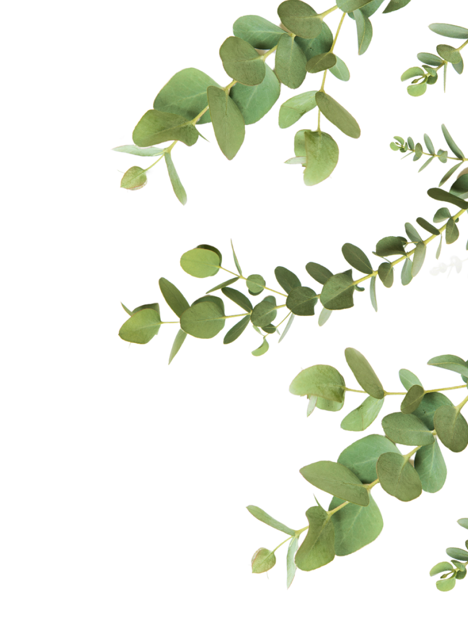 Home Leaves